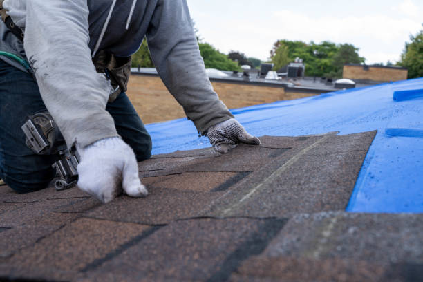 Best Residential Roofing Contractor  in Lakin, KS