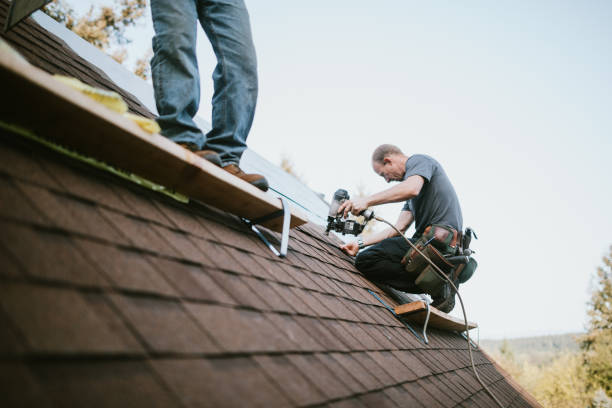 Best Roof Repair Services  in Lakin, KS